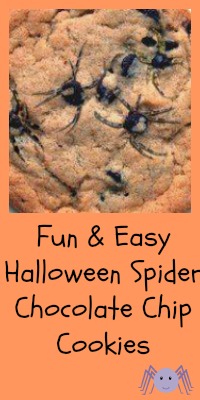 halloween spider chocolate chip cookies